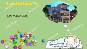 nam-mo-thay-nha-co-y-nghia-gi-va-con-so-may-man