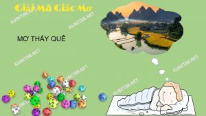 nam-mo-thay-que-danh-con-gi-va-diem-bao-gi