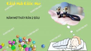nam-mo-thay-ran-2-dau-diem-lanh-hay-du-danh-de-con-nao-trung