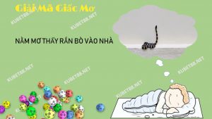 nam-mo-thay-ran-bo-vao-nha-diem-bao-lanh-hay-du