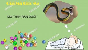 nam-mo-thay-ran-duoi-diem-tot-hay-xau-danh-de-con-gi