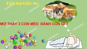 nam-mo-thay-3-con-meo-danh-con-gi-va-diem-bao-gi