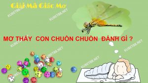 nam-mo-thay-chuon-chuon-danh-con-gi-diem-bao-lanh-hay-du
