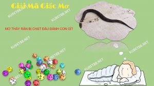 mo-thay-ran-bi-chat-dau-diem-bao-nguy-hiem-danh-con-nao-hen