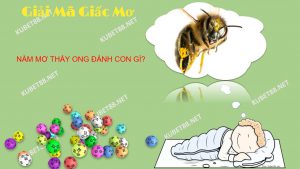 nam-mo-thay-ong-danh-con-gi-va-diem-bao-gi