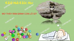 nam-mo-thay-ran-chet-diem-bao-gi-con-so-nao-may-man
