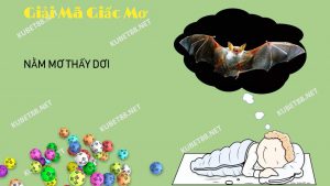 y-nghia-xung-quanh-giac-mo-thay-con-doi-va-con-so-lo-de-chuan