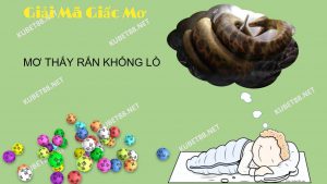 mo-thay-ran-khong-lo-trong-mo-danh-con-gi-chuan