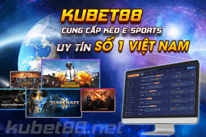 cá cược thể thao điện tử tại Kubet.doc