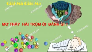 diem-bao-giac-mo-thay-hai-oi-va-con-so-lien-quan