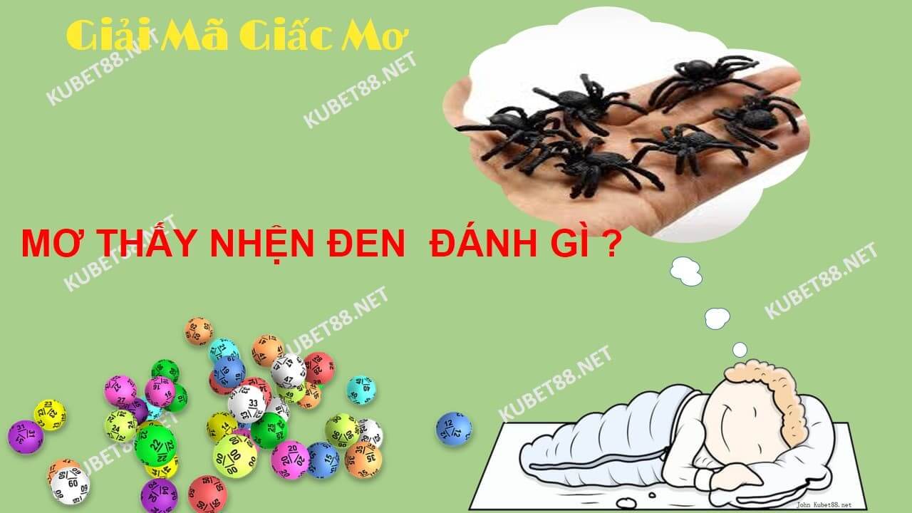 nam-mo-thay-nhen-den-va-con-so-lo-de-lien-quan