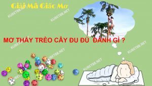 nam-mo-thay-treo-cay-du-du-diem-bao-gi