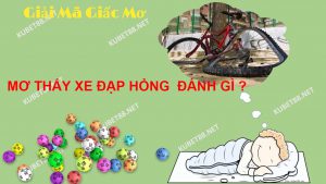 kham-pha-giac-mo-thay-xe-dap-bi-hong-va-con-so-lo-de-chuan