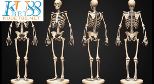 nằm mơ thấy xương người đánh con gì