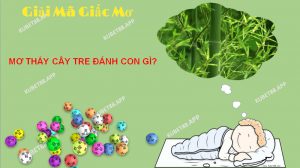 Mơ thấy cây tre có ý nghĩa như thế nào?