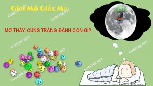 Mơ thấy cung trăng được xem là giấc mơ may mắn mang đến rất nhiều điều tốt lành