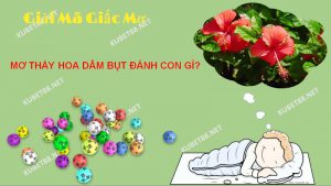 Tìm hiểu giấc mơ thấy hoa dâm bụt 