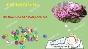 Điềm báo của giấc mơ thấy hoa đào là gì?