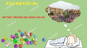 Mơ thấy trường học đang là giấc mộng với điềm báo tốt, dự báo có nhiều sự thay đổi