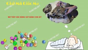 Điềm báo và ý nghĩa của giấc mơ thấy xác động vật
