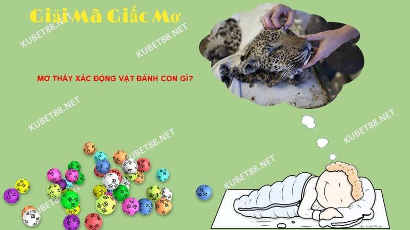 Điềm báo và ý nghĩa của giấc mơ thấy xác động vật