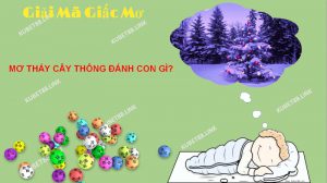 Nếu bạn mơ thấy cây thông thì đây là điềm tốt lành dành cho chủ nhân