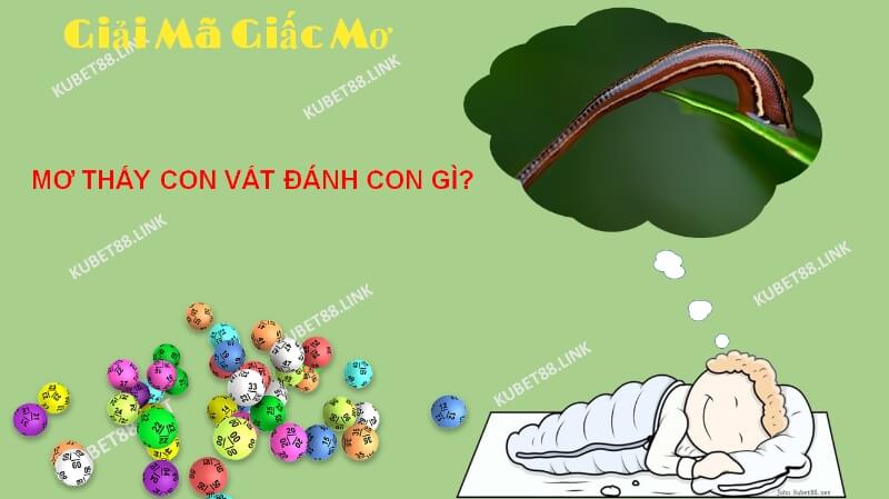 Theo lý giải của chuyên gia giải mã, giấc mơ thấy con vắt không phổ biến nhưng ẩn chứa nhiều ý nghĩa