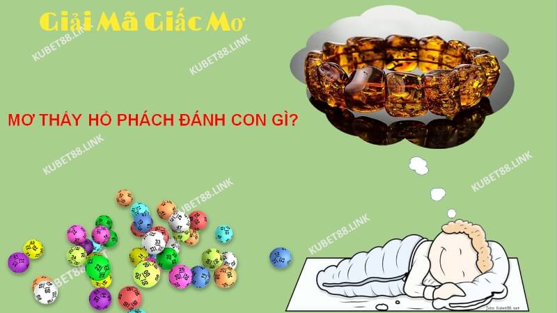 Ý nghĩa giấc mơ thấy hổ phách là gì?