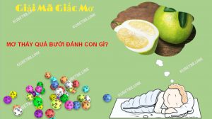 Mơ thấy quả bưởi mang tới ý nghĩa gì? 