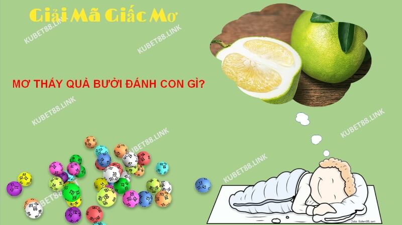 mơ thấy quả bưởi