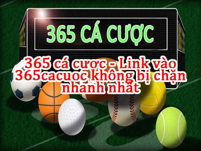 365 ca cuoc là gì ?
