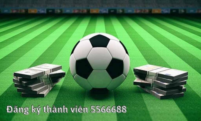 Trang game 5566688 đã trở lại và được nâng cấp vượt trội