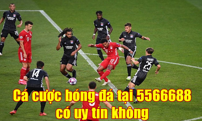 Trang game cá độ bóng đá uy tín và minh bạch nhất 
