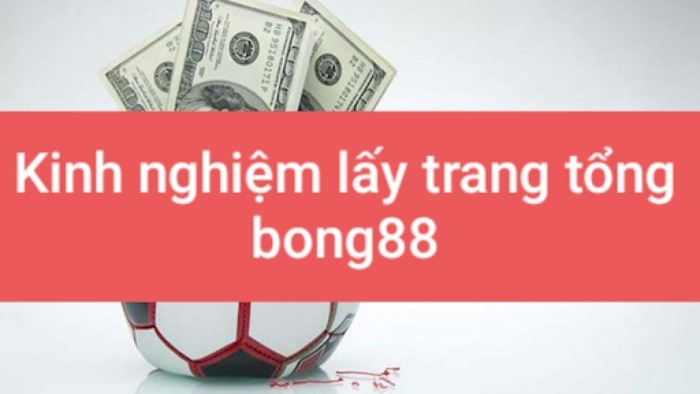 Kinh nghiệm lấy trang bong88 dành cho anh em cược thủ